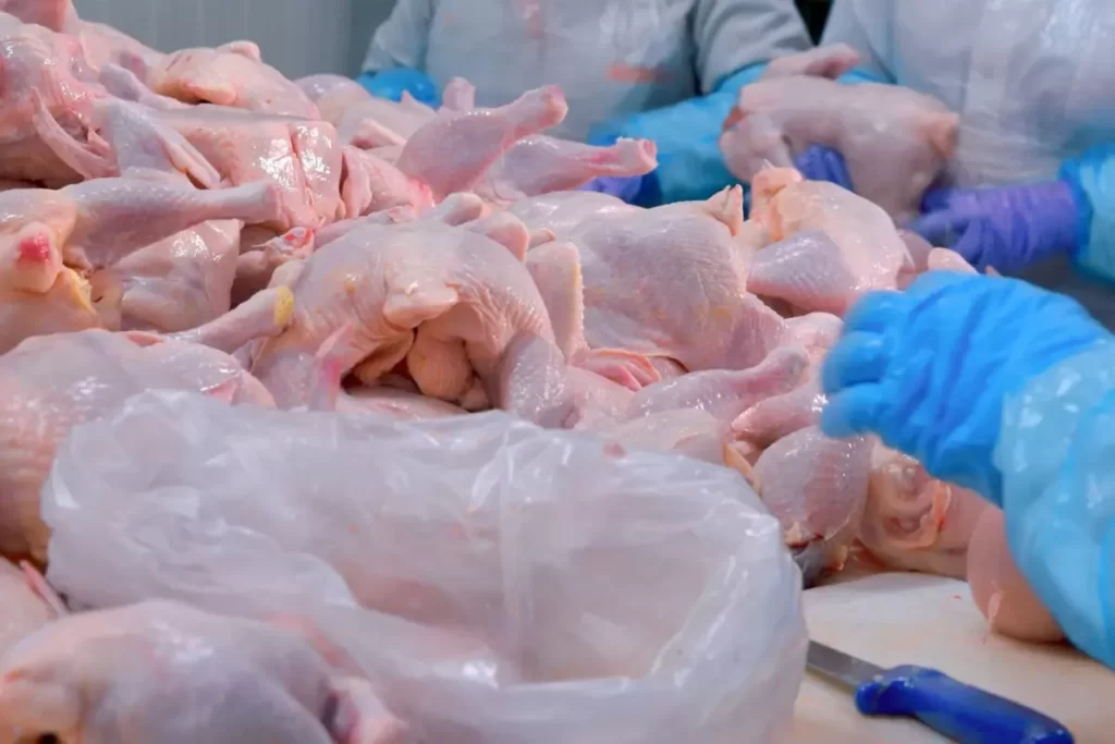 BESD-BİR’den tavuk eti zehirlenmelerine karşı uyarı tavuk eti habermeydan