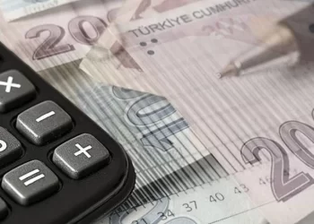 GİB 2025’in vergi yüzsüzleri açıkladı