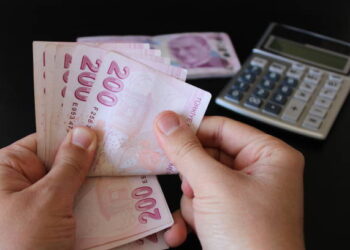 Bireysel Emeklilik Sistemi’nde devlet katkı oranı yüzde kaç oldu?