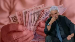 Halil Ergun 5 domatese verdigi paraya sitem etti1 habermeydan