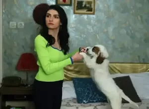 Hazar Erguclu kariyerindeki zorluklari anlatti1 habermeydan