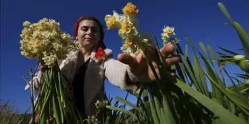 Karaburun’un kadınlarından aile bütçelerine “mis kokulu” süper destek