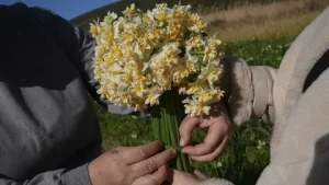 Karaburun kadinlarindan destek1 habermeydan