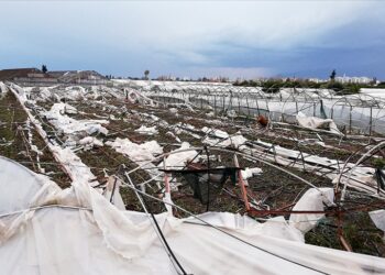 TARSİM tarafından 2026’te teminat altına alınacak ürün ve riskler netleşti