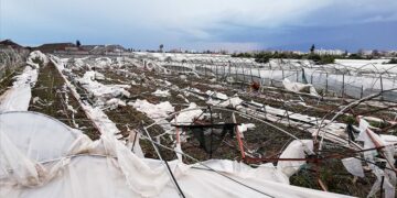 TARSİM tarafından 2026’te teminat altına alınacak ürün ve riskler netleşti