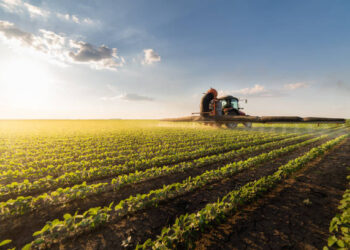 Bakan Yumaklı: Tarım sigortalarında yeni dönem başladı