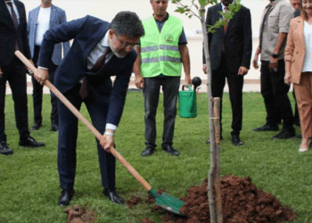 Bakan Yumaklı: Yanan alanlar yeniden ağaçlandırılıyor