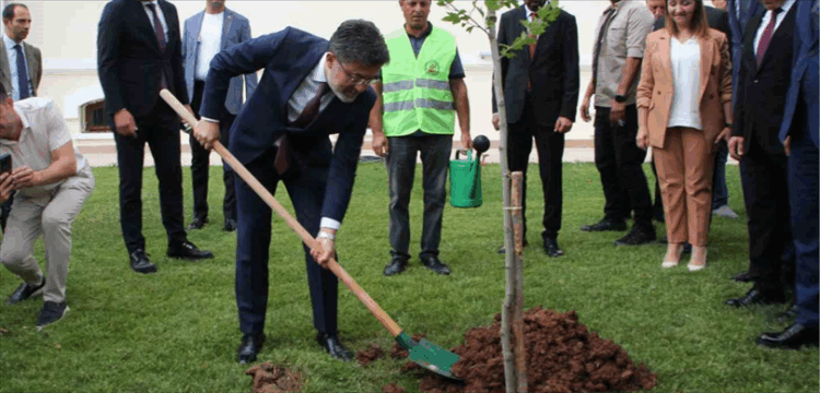 Yanan alanlar yeniden agaclandiriliyor habermeydan