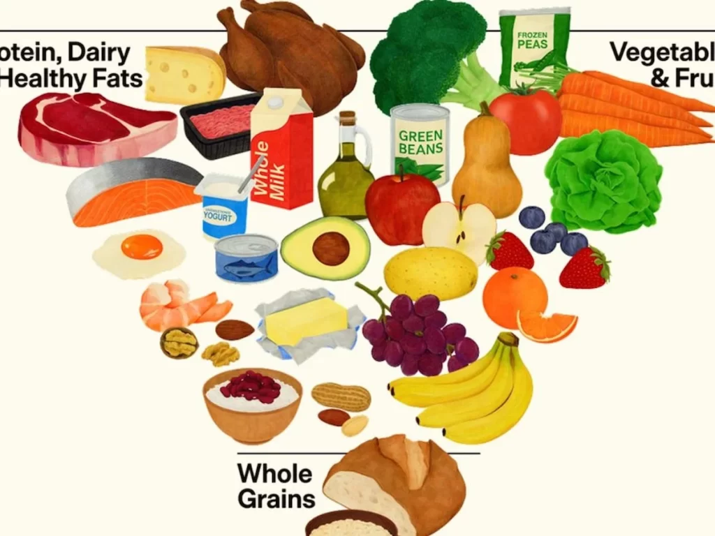 besin piramidi habermeydan