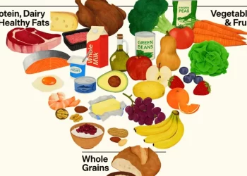 Besin piramidi tersyüz oldu: Sağlıklı beslenmede yeni döneme geçildi