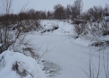 Muş’ta, Karasu Nehri buz tuttu!