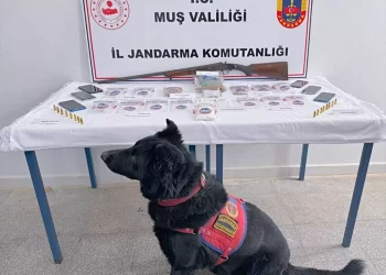 Muş'ta, uyuşturucu operasyonu: 5 tutuklama Muş’ta, uyuşturucu operasyonu: 5 tutuklama
