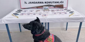 Muş'ta, uyuşturucu operasyonu: 5 tutuklama Muş’ta, uyuşturucu operasyonu: 5 tutuklama