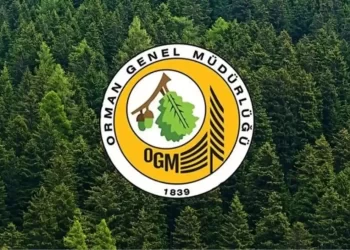 Orman kadastrosu ve 2B uygulamalarına yönelik esaslar belirlendi