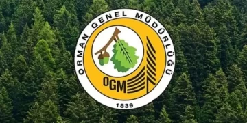 Orman kadastrosu ve 2B uygulamalarına yönelik esaslar belirlendi