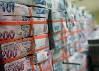 Yerli yatırımcıların pay senedi varlıkları 4,8 trilyon liraya ulaştı