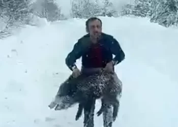 Sinop’ta, eliyle domuz yakalayan vatandaşa ceza!