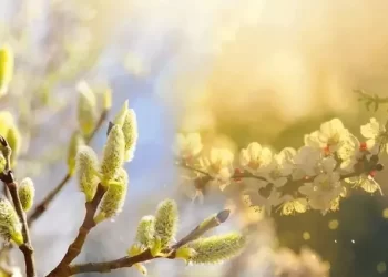 Cemre ne zaman düşecek? Cemre havaya, suya ve toprağa hangi tarihlerde düşer?