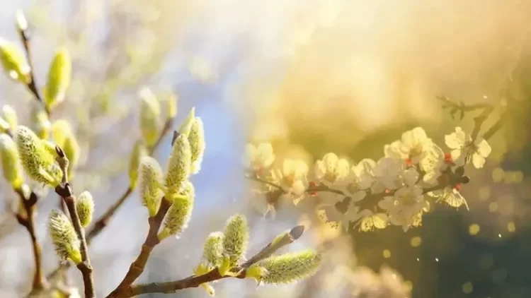 Cemre ne zaman dusecek habermeydan