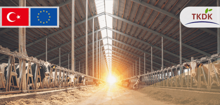 IPARD III habermeydan