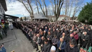 Tayfur Havutcunun aci gunu1 habermeydan