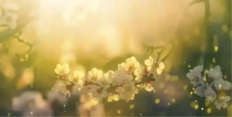 Cemre ne zaman düşecek? İlk cemre düştü mü? 2026 Cemre takvimi Cemre ne zaman düşecek?