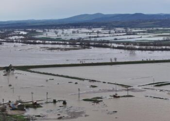 Edirne’de taşkın: Tunca ve Meriç tarım arazilerine taştı