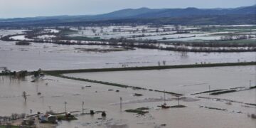 Edirne’de taşkın: Tunca ve Meriç tarım arazilerine taştı