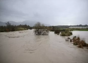 Muğla Köyceğiz’de sel felaketi: Seracılar tüm birikimlerini kaybetti