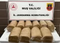 Muş Malazgirt'te, 50 kilo bandrolsüz kaçak tütün ele geçirildi! Muş Malazgirt’te, 50 kilo bandrolsüz kaçak tütün ele geçirildi!
