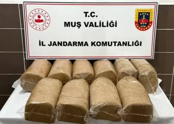 Muş Malazgirt'te, 50 kilo bandrolsüz kaçak tütün ele geçirildi! Muş Malazgirt’te, 50 kilo bandrolsüz kaçak tütün ele geçirildi!