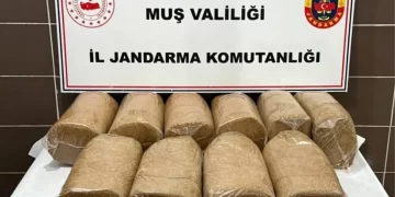 Muş Malazgirt'te, 50 kilo bandrolsüz kaçak tütün ele geçirildi! Muş Malazgirt’te, 50 kilo bandrolsüz kaçak tütün ele geçirildi!