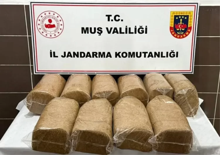 Muş Malazgirt'te, 50 kilo bandrolsüz kaçak tütün ele geçirildi! mus malazgirtte 50 kilo bandrolsuz kacak tutun ele gecirildi habermeydan