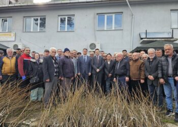 Sinop Ayancık’ta, 900 fırıncık armudu toprakla buluşuyor!