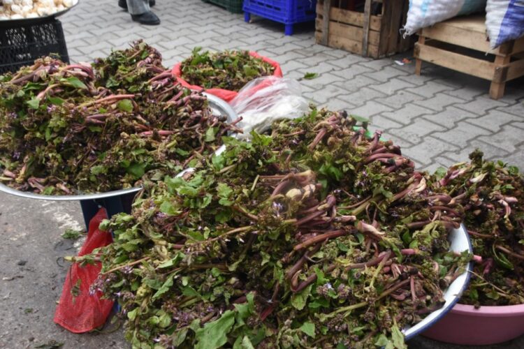 Sinop'ta 'zılbıt' dönemi! sinopta zilbit donemi habermeydan 1