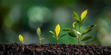 Bitkisel ürünlerde en yüksek yeterlilik derecesi kayısı ve zerdalide gerçekleşti