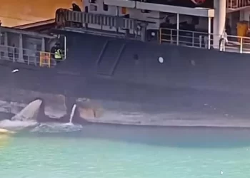 Mersin’de Çevre İhlali Yapan Gemiye 13 Milyon 187 Bin 913 TL Ceza