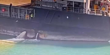 Mersin’de Çevre İhlali Yapan Gemiye 13 Milyon 187 Bin 913 TL Ceza