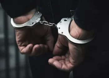 29 İlde DEAŞ Terör Örgütüne Yönelik Operasyon