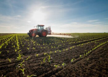 Üre İthalatında Gümrük Vergisi Yeniden Düzenlendi