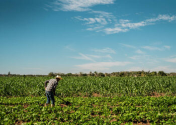 Mevsimlik tarım işçilerinin günlük ücretleri geçen yıl yüzde 37,8 arttı