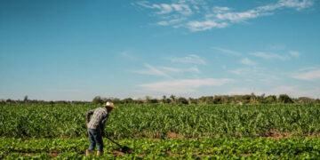 Mevsimlik tarım işçilerinin günlük ücretleri geçen yıl yüzde 37,8 arttı
