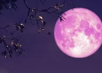 Pembe dolunay geliyor