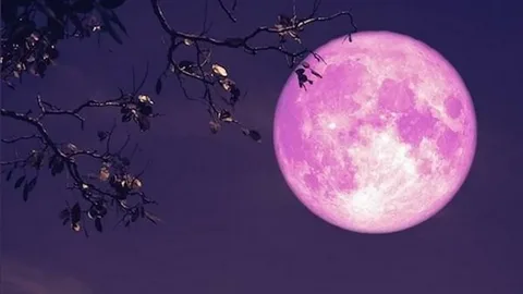 Pembe dolunay geliyor Pembe dolunay geliyor habermeydan