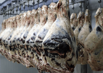 Ankara merkezli 8 ilde kırmızı et operasyonu: 30 gözaltı