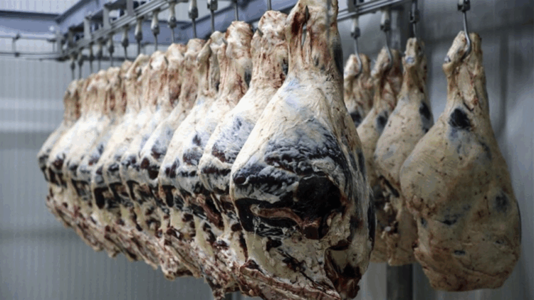 Ankara merkezli 8 ilde kırmızı et operasyonu...