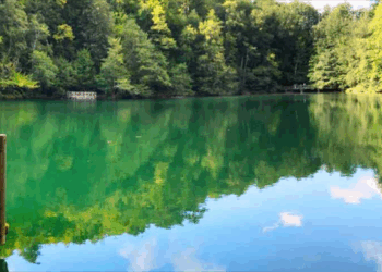 Bakan Yumaklı milli parklar düzenlemesini değerlendirdi