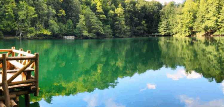 milli parklar duzenlemesi habermeydan