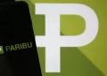 Paribu erişim sorunu: Şirketten resmi açıklama geldi
