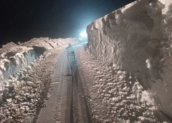 Siirt’te kar nedeniyle 20 yerleşim yerinin yolu kapandı